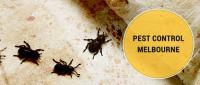 Professional Pest Control Melbourne image 4
