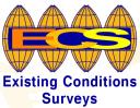 Existing Conditions Surveys logo