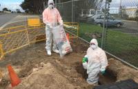 All Star Asbestos Services image 3
