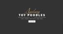 Sydney Toy Poodles logo