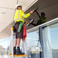 Professional Window Cleaning image 2