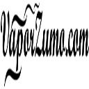 Premium E-Liquids & Vape Juice - VaporZumo logo
