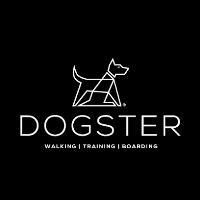 Dogster image 1