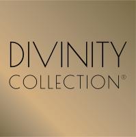 Divinity Collection image 4