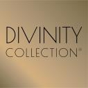 Divinity Collection logo
