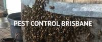Female Choice Pest Control Dutton Park image 3