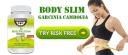 Body Slim Down logo