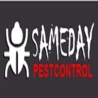 Fast Pest Control Sandgate image 7