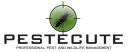 Pestecute logo