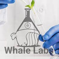 Whale labs Pty Ltd image 2