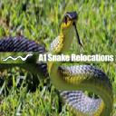 A1 Snake Relocation logo