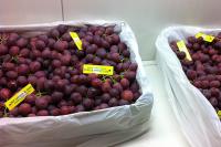 Lazzara Grapes image 5