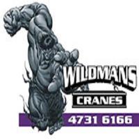 Wildmans Cranes image 1