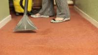 Carpet Dry Cleaning Brisbane image 4
