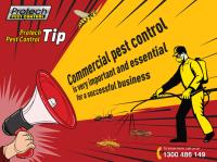 Protech Pest Control image 9