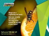 Protech Pest Control image 15