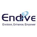 Endive Software logo
