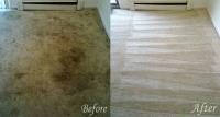 Carpet Stain Removal image 4