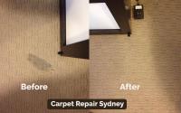Professional Carpet Repairing image 2