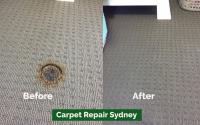 Professional Carpet Repairing image 4