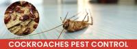 Wasp Pest Control Melbourne image 3