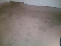 Sun Dry Carpet Steam Cleaning and Pest Control image 2