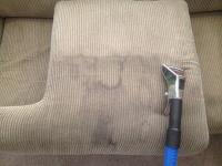 Sun Dry Carpet Steam Cleaning and Pest Control image 4