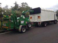 Affordable Tree Services Northern Beaches image 1