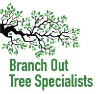 Branch Out Tree Specialists image 1