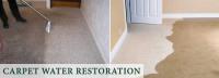 Squeaky Green Clean Water Damage Restoration image 1