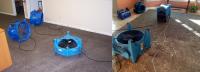 Mark's Carpet Cleaning Adelaide image 7