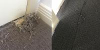 Squeaky Clean Carpet Repair Melbourne image 1