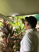 Building & Pest Inspections Cairns  image 1