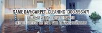 Same Day Carpet Cleaning image 13