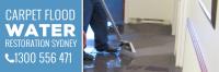 Same Day Carpet Cleaning image 7