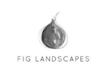 Fig Landscapes image 6
