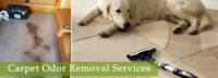 Green Cleaners Team - Carpet Cleaning Brisbane image 3