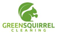 Green Squirrel Cleaning image 1