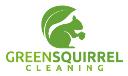 Green Squirrel Cleaning logo