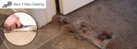 Back 2 New Cleaning - Carpet Repair Melbourne image 1