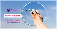 Fly Singapore image 5