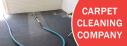 Marks Carpet Cleaning - Carpet Cleaning Canberra logo