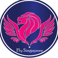 Fly Singapore image 9