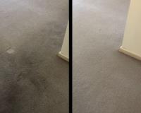 Best Carpet Cleaning Ballarat image 1