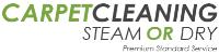 Carpet Cleaning Steam Or Dry image 1