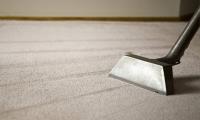 Professional Carpet Cleaning Ballarat image 2