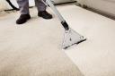 Carpet Cleaning Services Ballarat logo