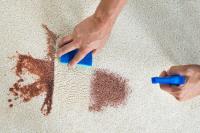 Carpet Cleaning Services Ballarat image 3
