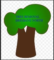 Tree Removal Brisbane North image 4