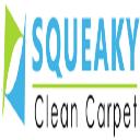 Carpet Dry Cleaning Geelong West logo